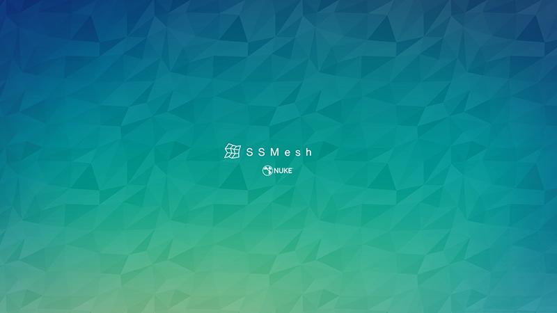 ss-mesh-2.webp