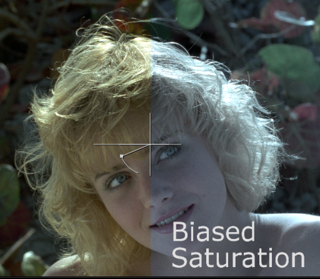 biased-saturation-1.webp