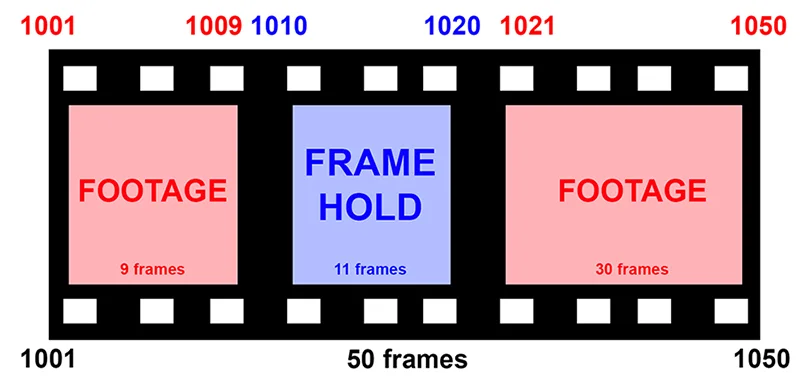 frame-hold-special-6.webp