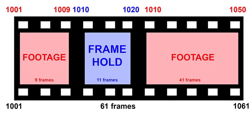 frame-hold-special-7.webp